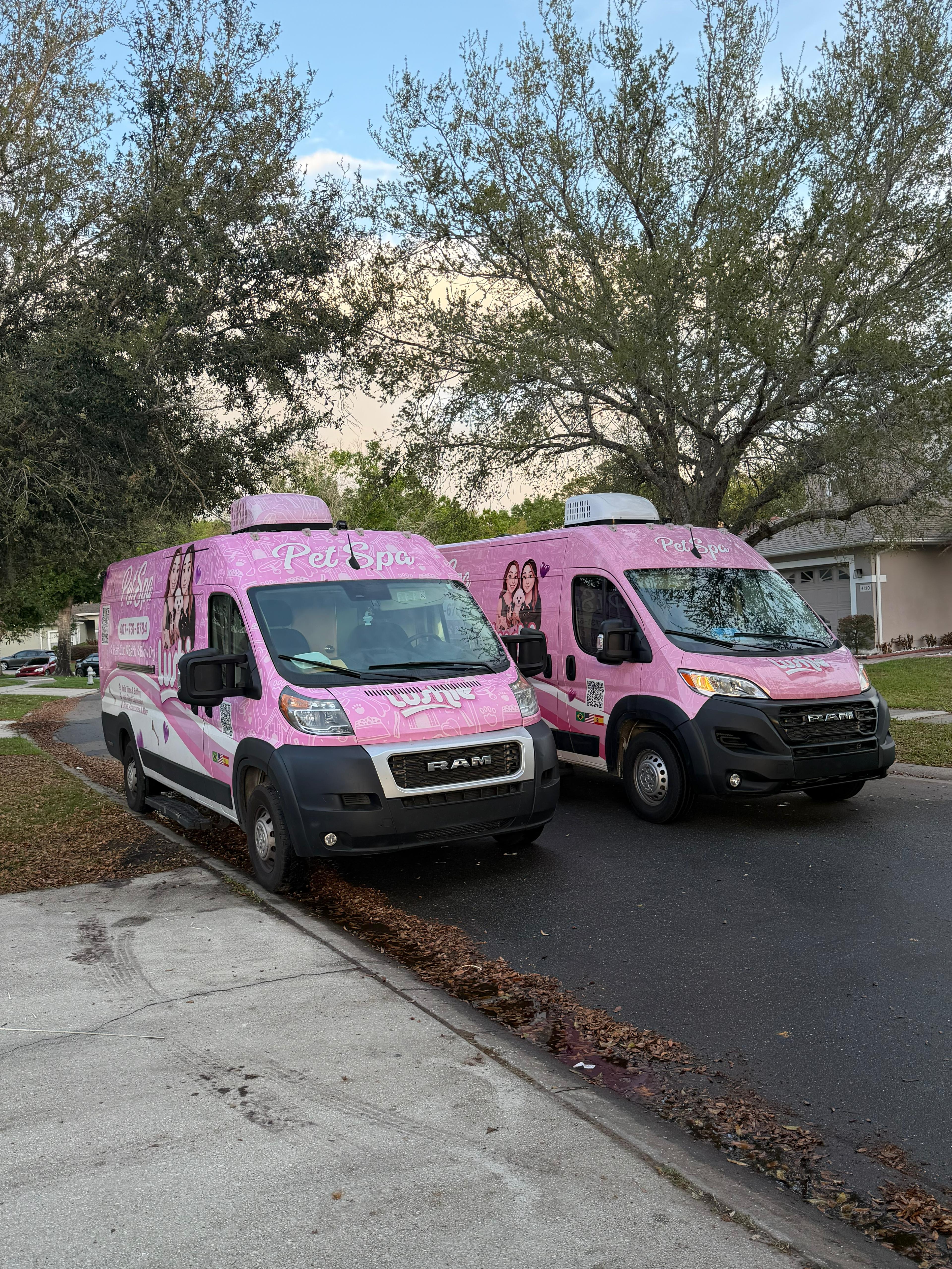 Lushie Pet Spa groomer working with a pet inside the van